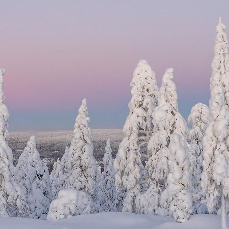 Charming Condo In The Downtown Rovaniemi Exterior photo